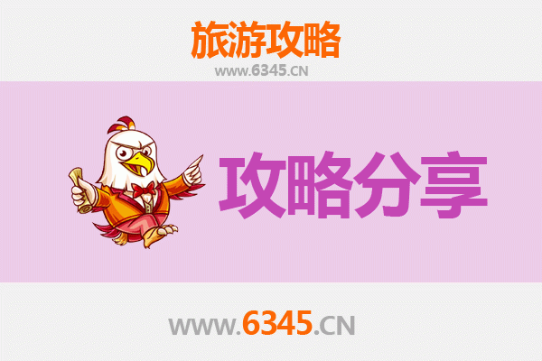 驻马店新蔡旅游攻略：跟团与自由行深度对比