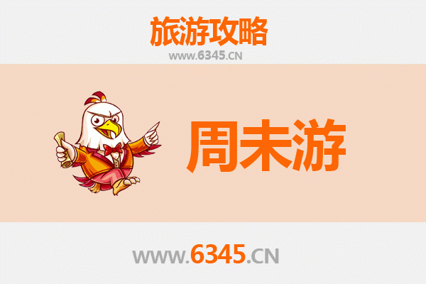 周末漫游新蔡：探寻千年古县的文化韵味与自然风光