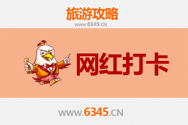新蔡网红打卡地全攻略：探索豫南隐藏的潮流地标